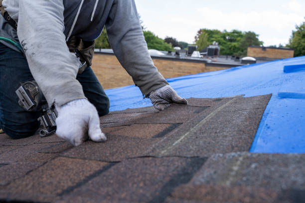 Best Flat Roof Repair Services  in Macdonnell Heights, NY
